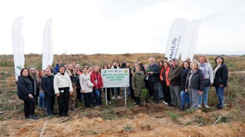 Metlife Türkiye, Şilede Çalışa..