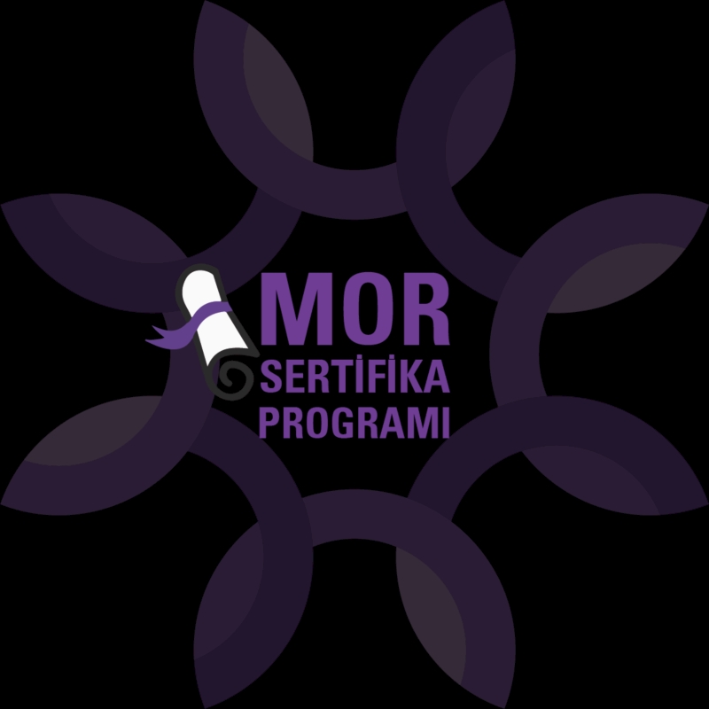 Mor Sertifika Programı, 19. Döneminde Eğitimde Eşitliği Güçlendirmeyi Hedefliyor