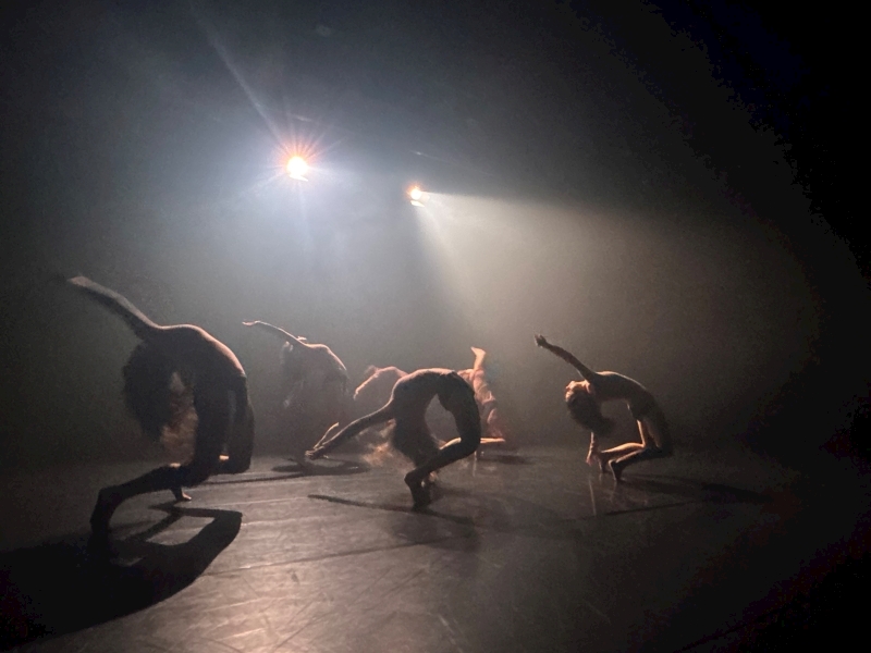 Doç. Aslı Öztürk, “Kız Doğdu / III” Adlı Eseriyle 7. İstanbul Fringe Festival’de Sahne Alacak