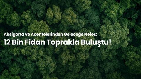 Aksigorta, Acenteleri Adına Sa..