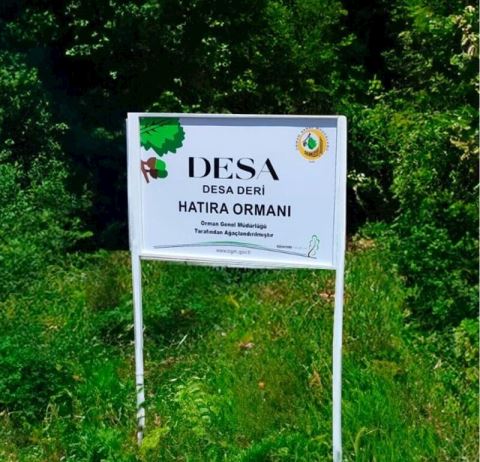 Desa, Dünya Toprak Gününde Sür..